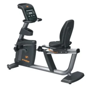 RECUMBENT BIKE KH3040 (VIVA FITNESS)