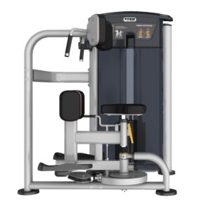 IT9518 Torso (VIVA FITNESS)