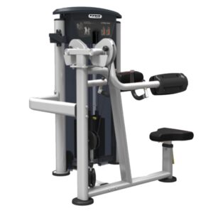 IT9524 Lateral Raise (VIVA FITNESS)