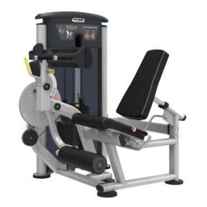 IT9528 Leg Extension / Leg Curl (VIVA FITNESS)