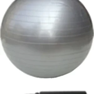 PROTON GYM BALL