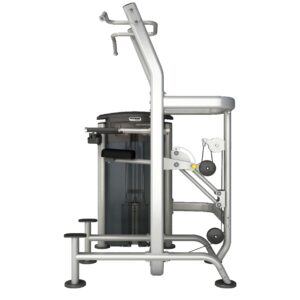 IT9520 Dip / Chin Assist (VIVA FITNESS)