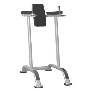 IT7010 Vertical Knee Raise / Dip Stand (VIVA FITNESS)
